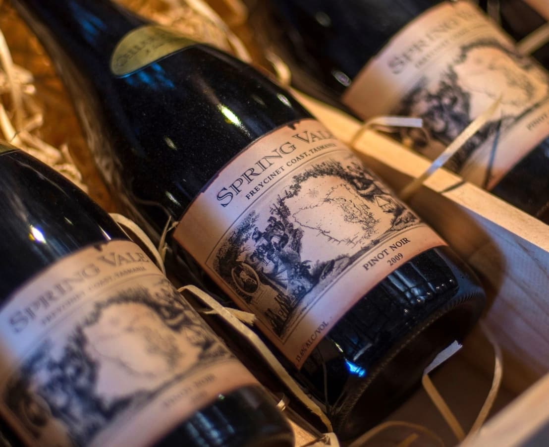 Spring Vale Wine - 2023 Pinot Noir (Case)